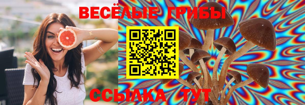 Псилоцибиновые грибы GOLDEN TEACHER Саранск
