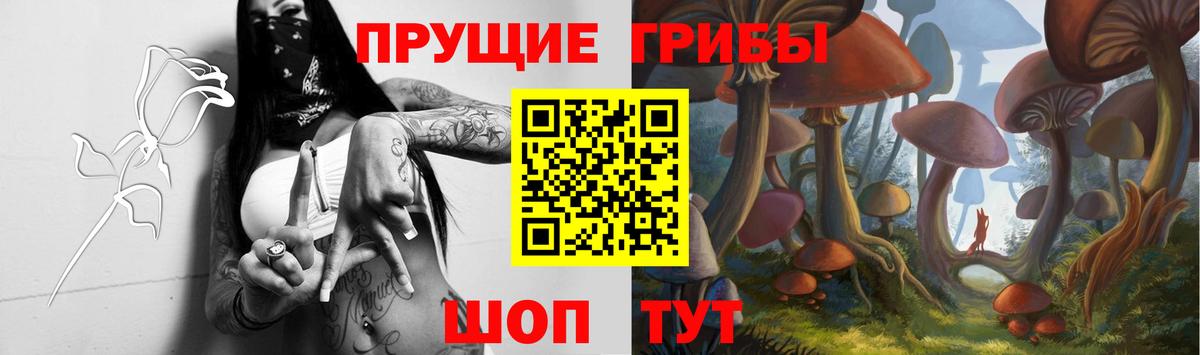 купить закладку  Псилоцибиновые грибы Psilocybine cubensis  Саранск  Вход с VPN  Галлюциногенные грибы мухоморы 